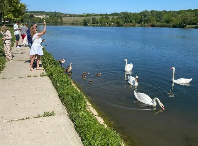 Logis Saint-nicolas &